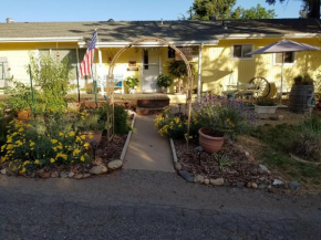 Yosemite Plaisance Bed & Breakfast